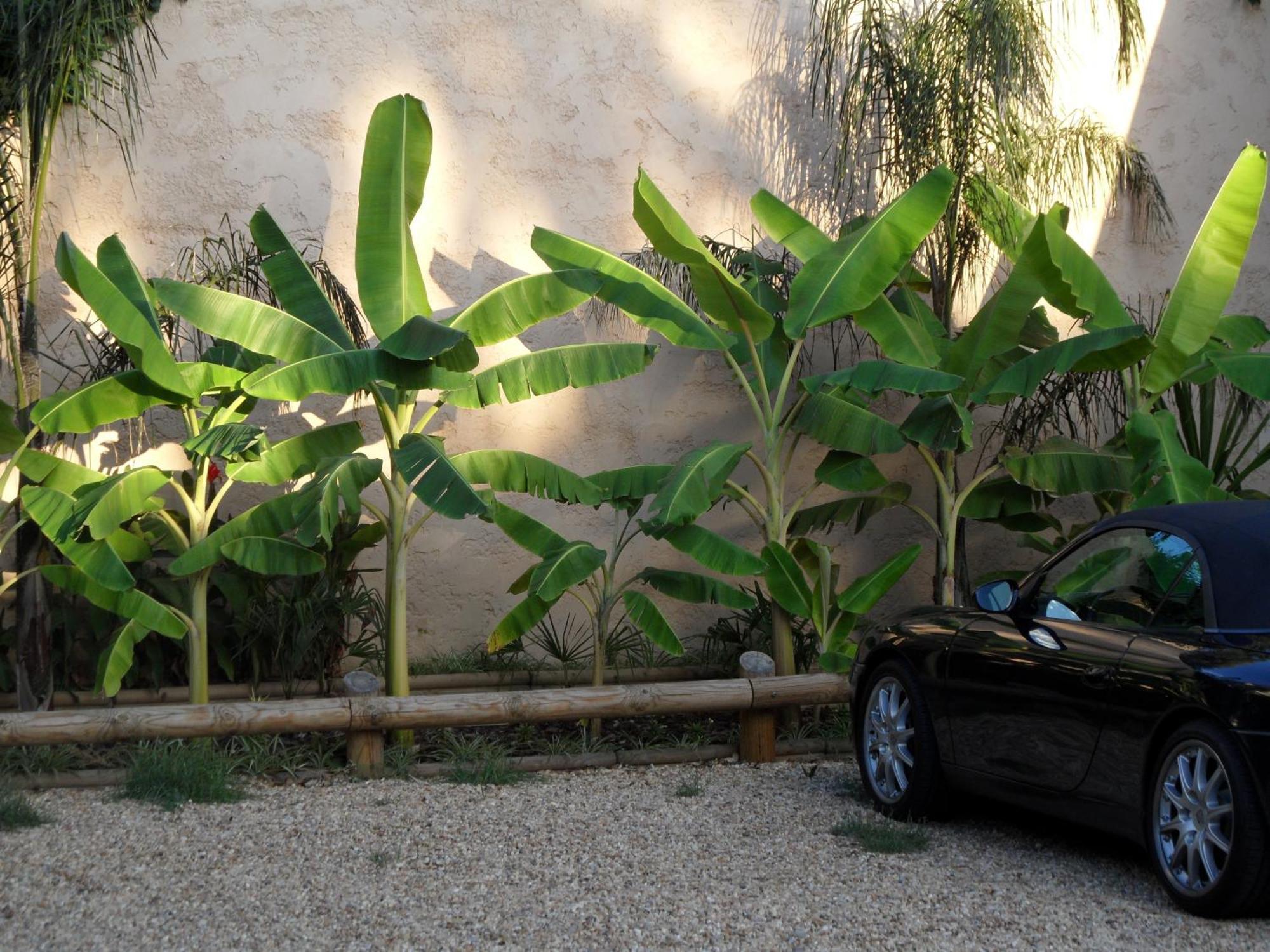 Residence Veles Plage Cannes Dış mekan fotoğraf